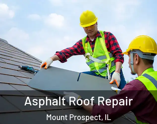  Asphalt Roof Repair Mount Prospect, IL