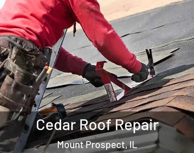  Cedar Roof Repair Mount Prospect, IL