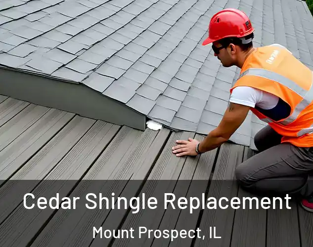  Cedar Shingle Replacement Mount Prospect, IL