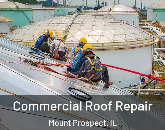  Commercial Roof Repair Mount Prospect, IL