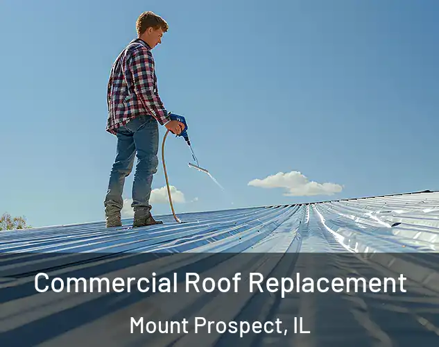  Commercial Roof Replacement Mount Prospect, IL