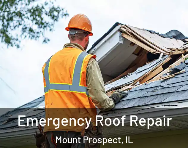  Emergency Roof Repair Mount Prospect, IL