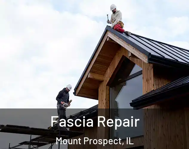  Fascia Repair Mount Prospect, IL