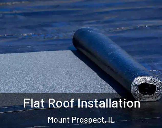  Flat Roof Installation Mount Prospect, IL