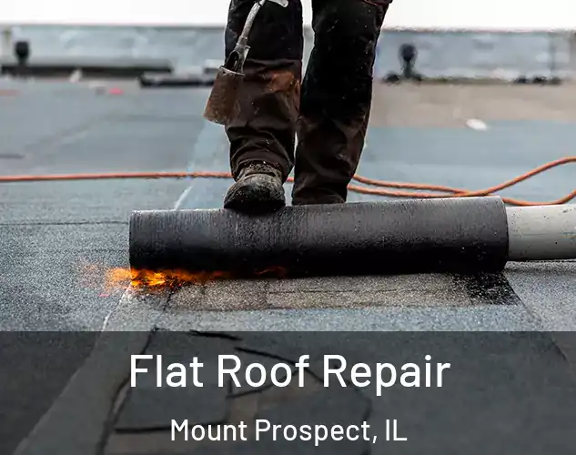  Flat Roof Repair Mount Prospect, IL