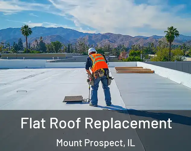  Flat Roof Replacement Mount Prospect, IL
