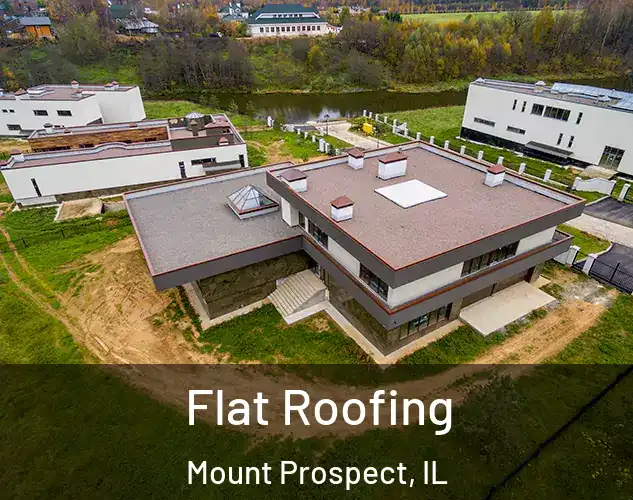 Flat Roofing Mount Prospect, IL