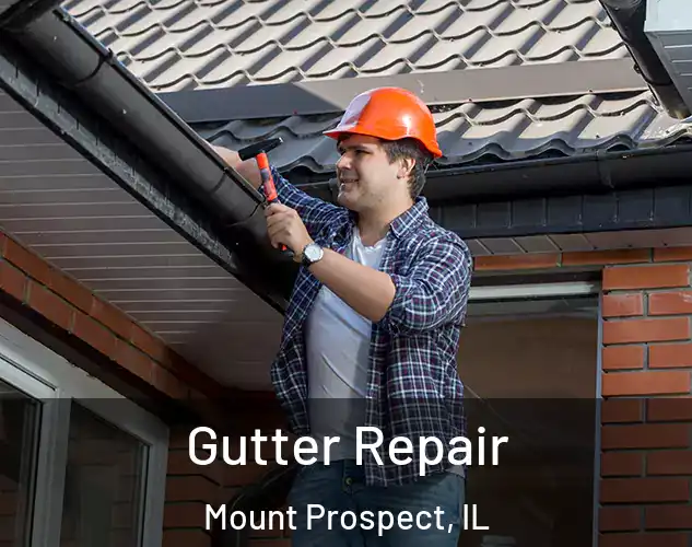  Gutter Repair Mount Prospect, IL