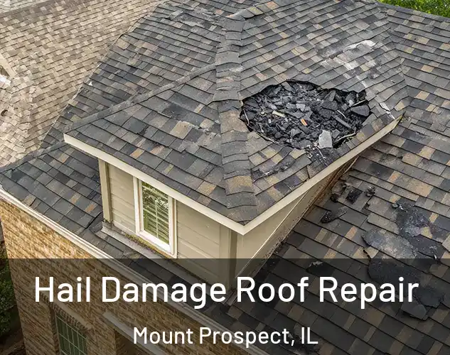  Hail Damage Roof Repair Mount Prospect, IL