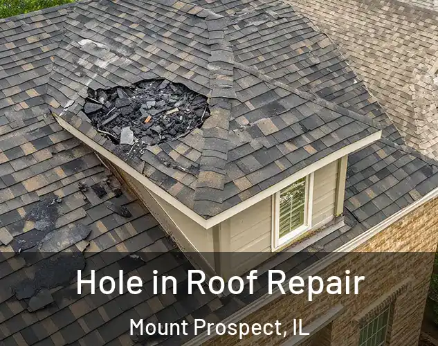  Hole in Roof Repair Mount Prospect, IL