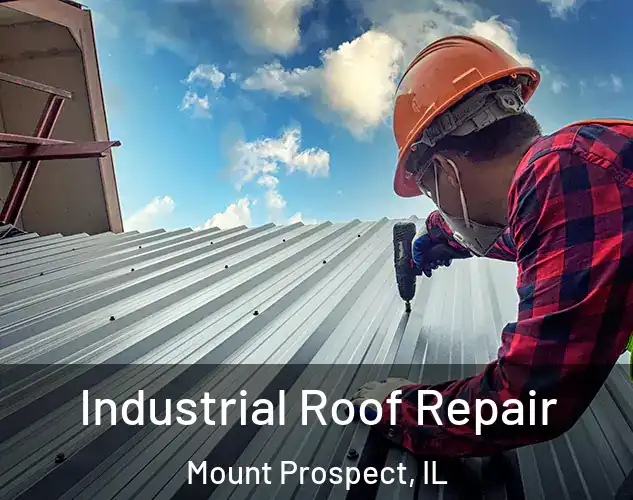  Industrial Roof Repair Mount Prospect, IL