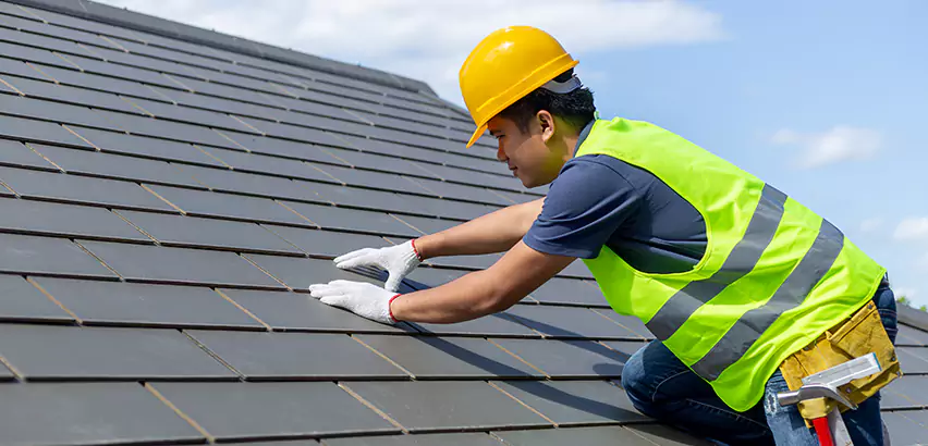Professional Hail Damage Roof Repair Services in Mount Prospect, IL