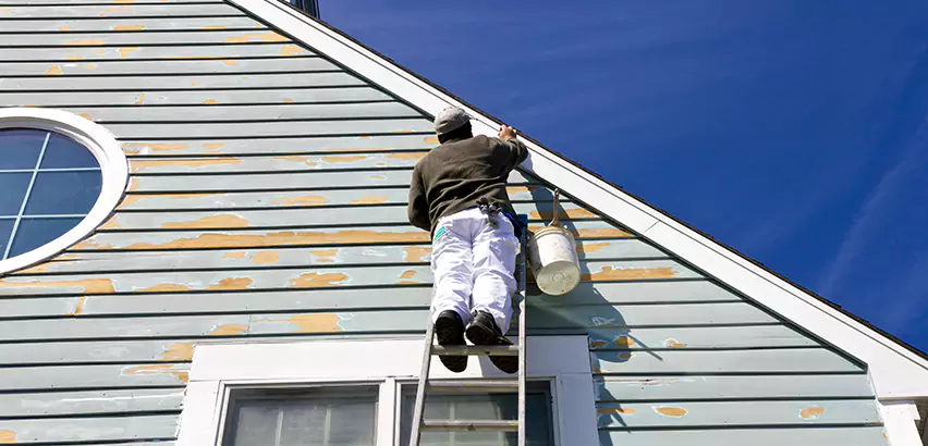 Professional Roof and Siding Repair Services in Mount Prospect, IL