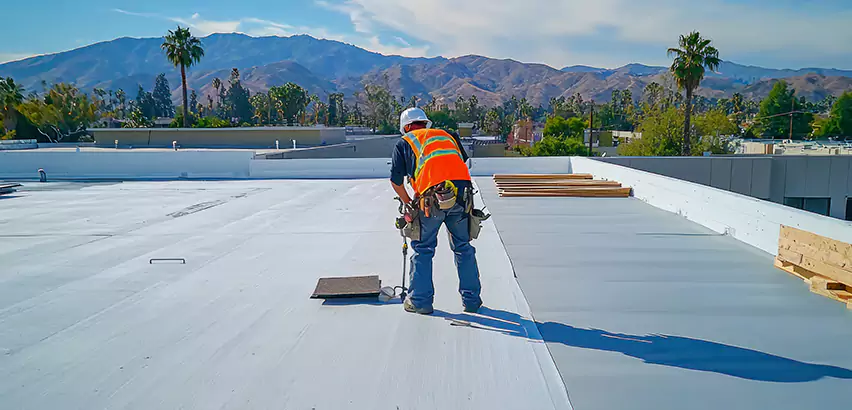 Professional Roof Coating Services in Mount Prospect, IL