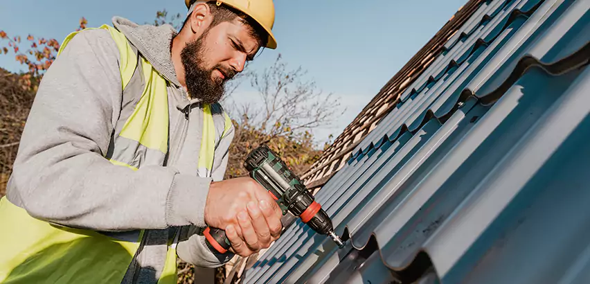 Residential Roof Leak Repair in Mount Prospect
