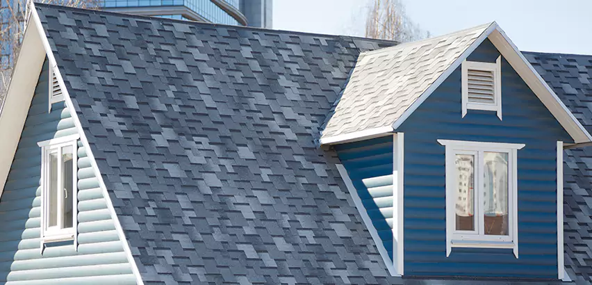 Shingle Roof Maintenance in Mount Prospect