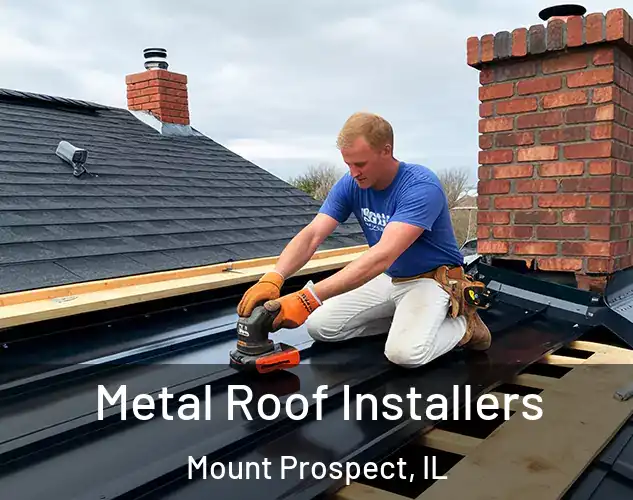  Metal Roof Installers Mount Prospect, IL