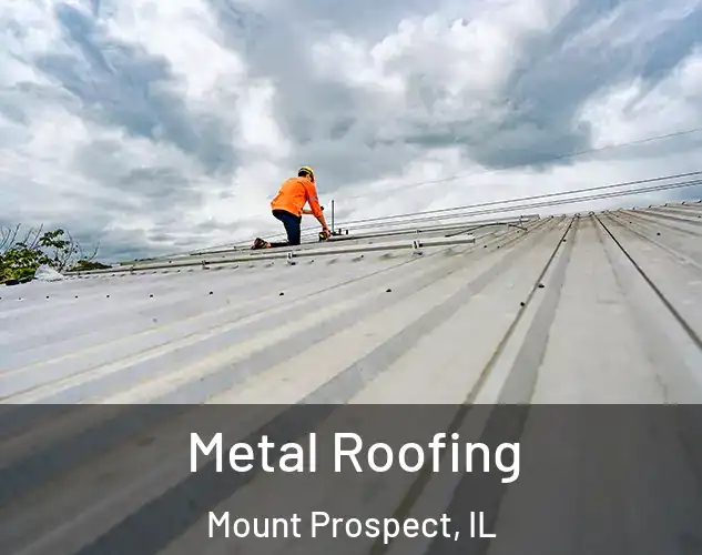  Metal Roofing Mount Prospect, IL