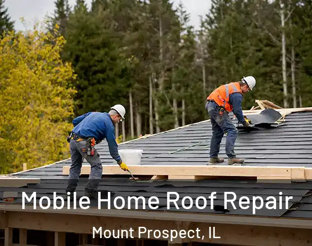  Mobile Home Roof Repair Mount Prospect, IL