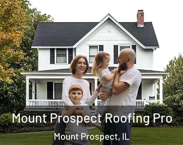  Mount Prospect Roofing Pro Mount Prospect, IL