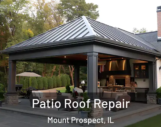  Patio Roof Repair Mount Prospect, IL