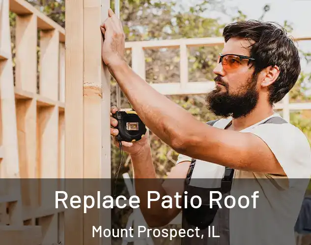  Replace Patio Roof Mount Prospect, IL