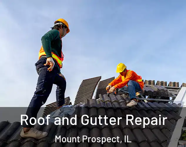  Roof and Gutter Repair Mount Prospect, IL