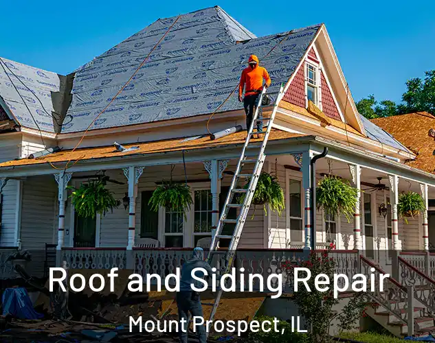  Roof and Siding Repair Mount Prospect, IL