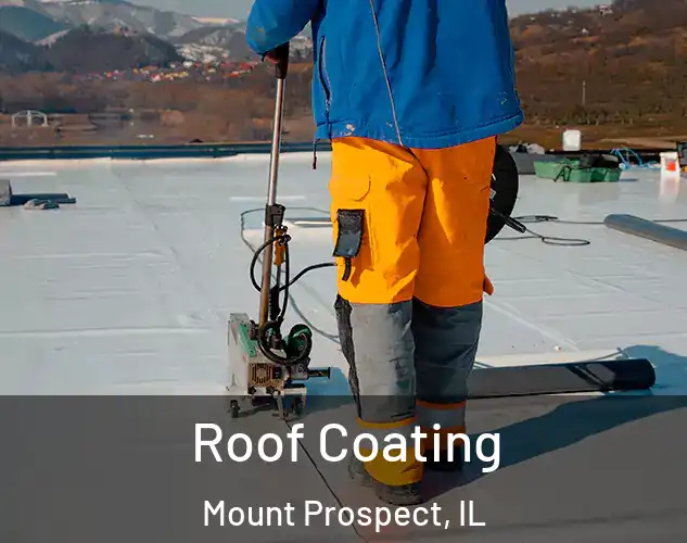  Roof Coating Mount Prospect, IL