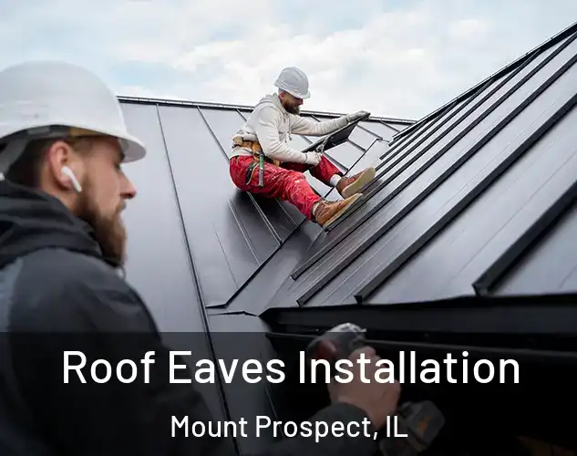 Roof Eaves Installation Mount Prospect, IL