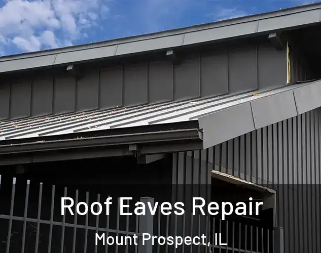  Roof Eaves Repair Mount Prospect, IL