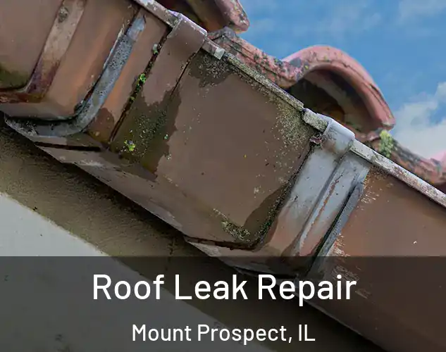  Roof Leak Repair Mount Prospect, IL
