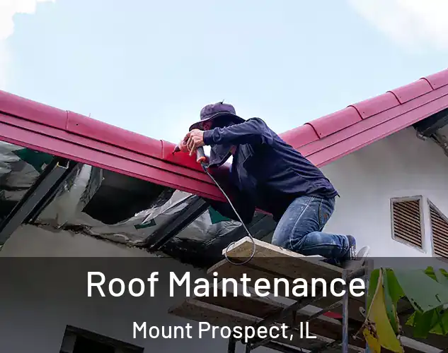  Roof Maintenance Mount Prospect, IL