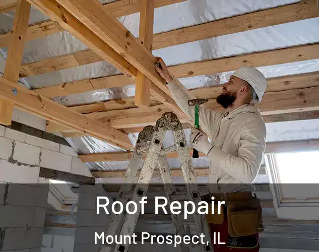  Roof Repair Mount Prospect, IL