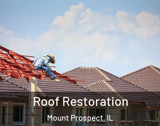  Roof Restoration Mount Prospect, IL