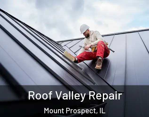  Roof Valley Repair Mount Prospect, IL