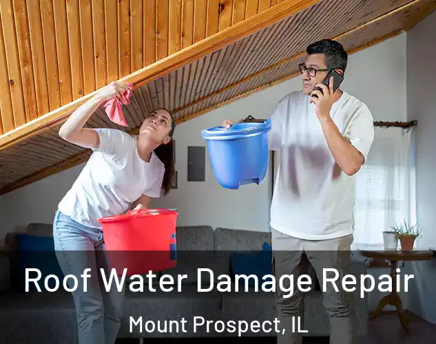  Roof Water Damage Repair Mount Prospect, IL