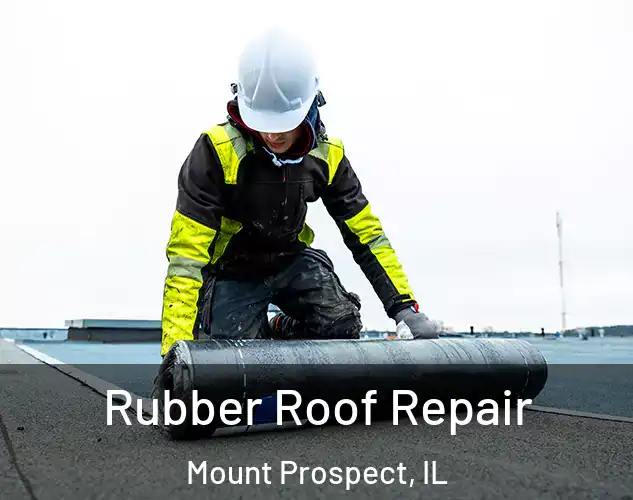  Rubber Roof Repair Mount Prospect, IL