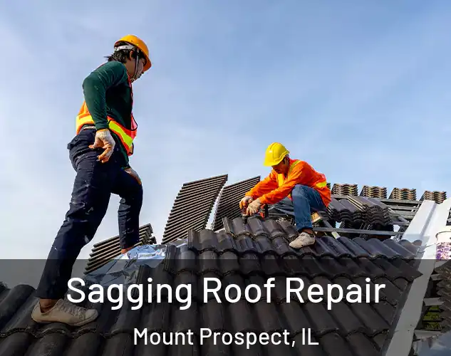  Sagging Roof Repair Mount Prospect, IL