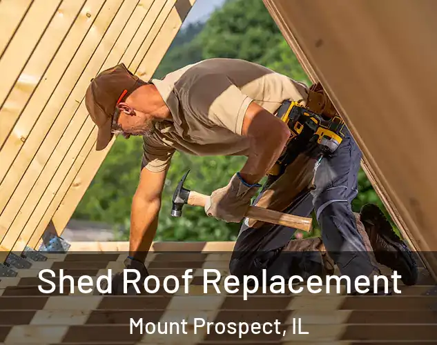  Shed Roof Replacement Mount Prospect, IL