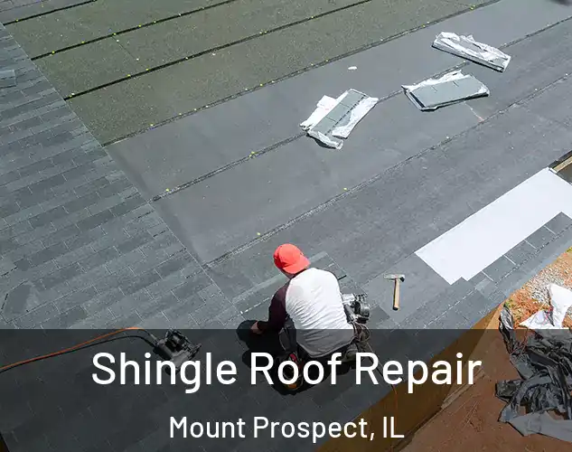  Shingle Roof Repair Mount Prospect, IL