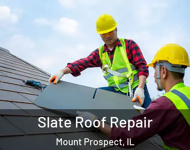  Slate Roof Repair Mount Prospect, IL