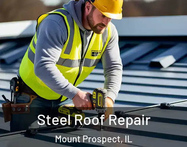  Steel Roof Repair Mount Prospect, IL