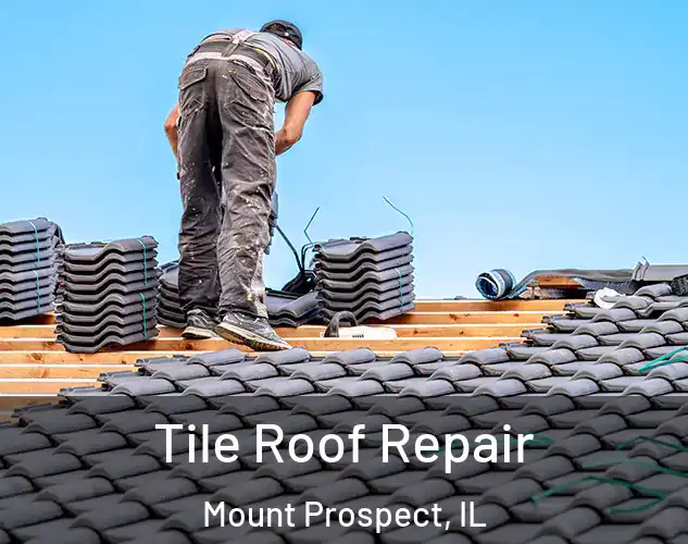  Tile Roof Repair Mount Prospect, IL