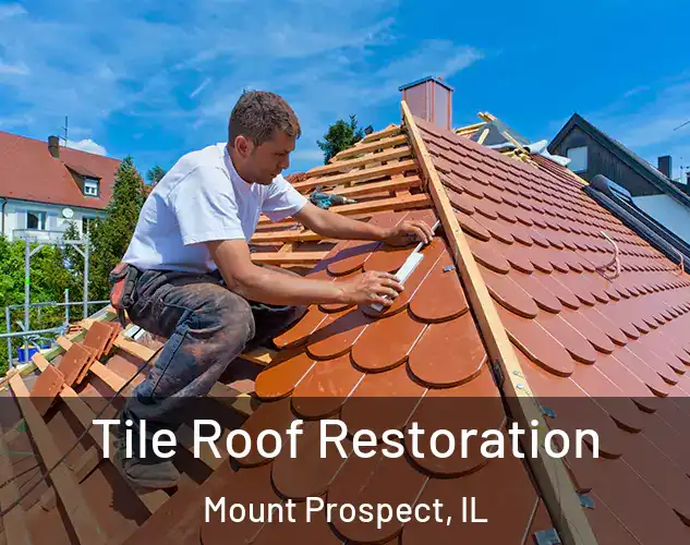  Tile Roof Restoration Mount Prospect, IL