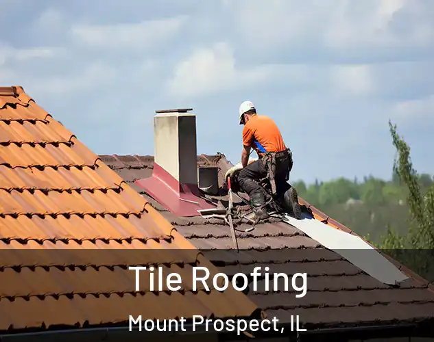  Tile Roofing Mount Prospect, IL