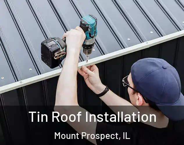  Tin Roof Installation Mount Prospect, IL