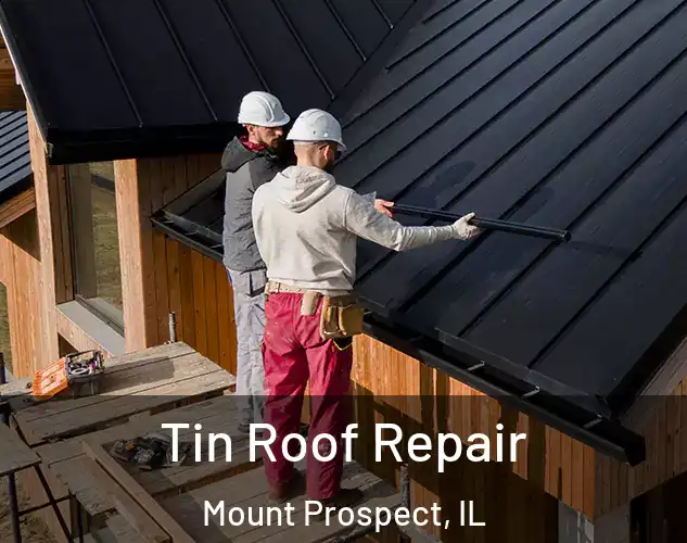  Tin Roof Repair Mount Prospect, IL
