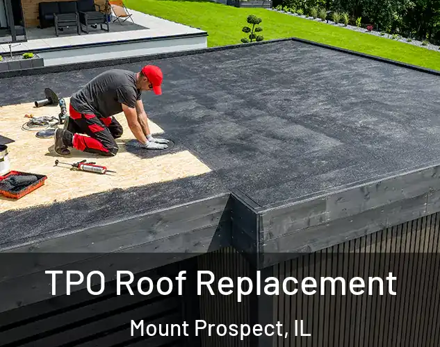  TPO Roof Replacement Mount Prospect, IL