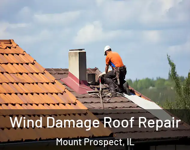  Wind Damage Roof Repair Mount Prospect, IL
